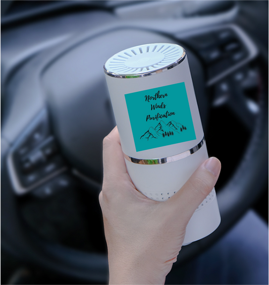 Portable HEPA filter air purifier by Northern Winds Purification